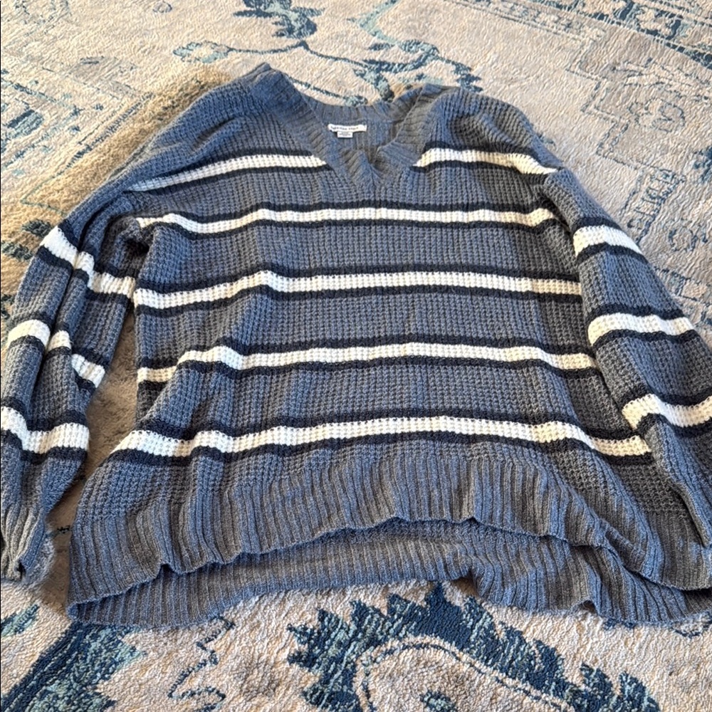 American Eagle Outfitters Blue and White V-Neck Sweater